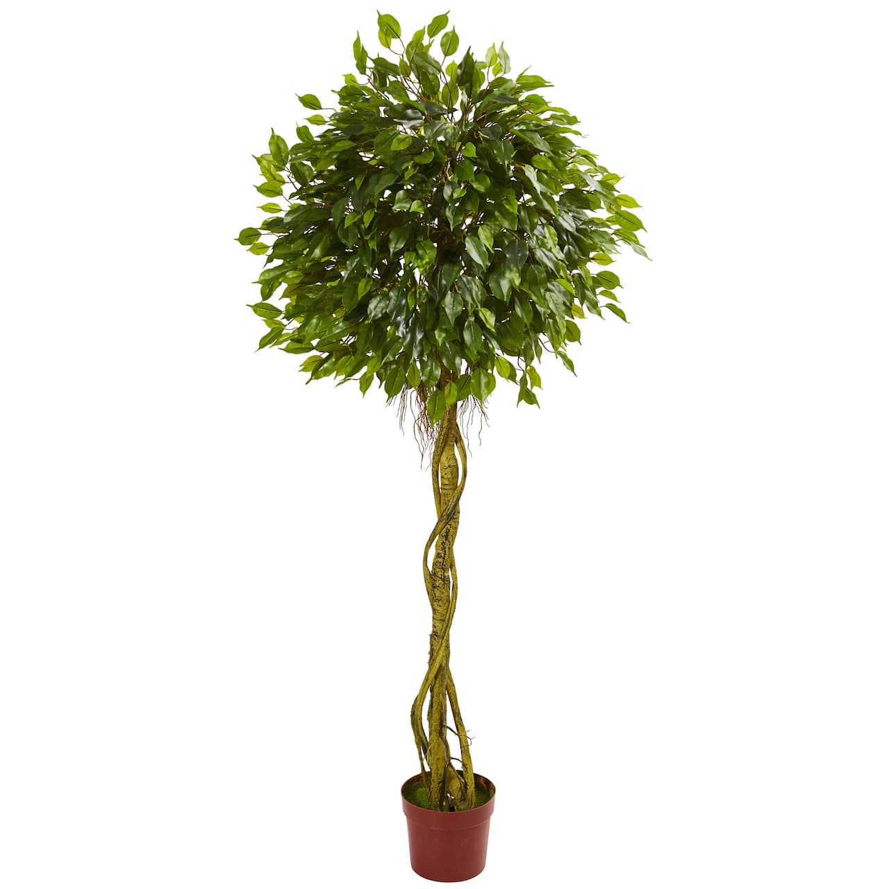 6ft. UV Resistant Ficus Artificial Topiary Tree